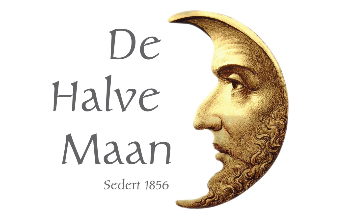 logo halve maan
